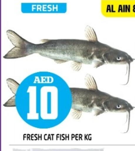 AL AIN available at Baniyas Spike  in UAE - Fujairah