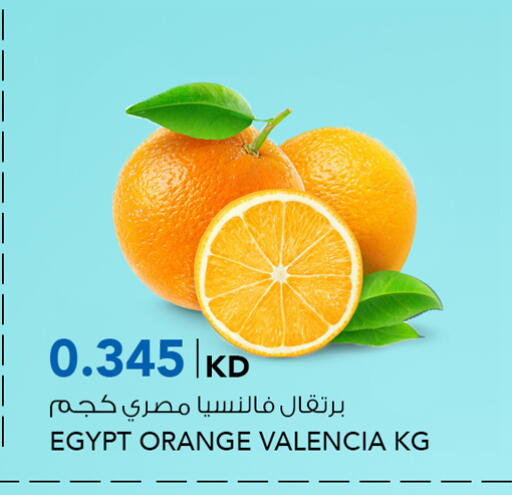Orange from Egypt available at  ALNASSER HYPERMARKET in Kuwait - Ahmadi Governorate