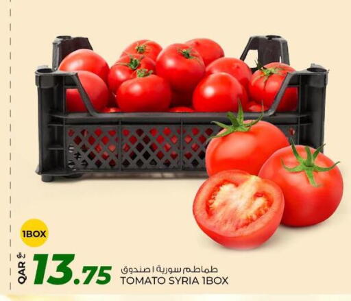 Tomato available at Rawabi Hypermarket in Qatar - Al Daayen