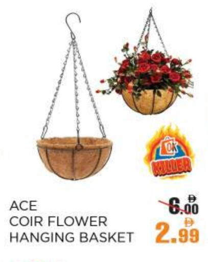 available at أوكى هايبرماركت in الإمارات العربية المتحدة , الامارات - أبو ظبي