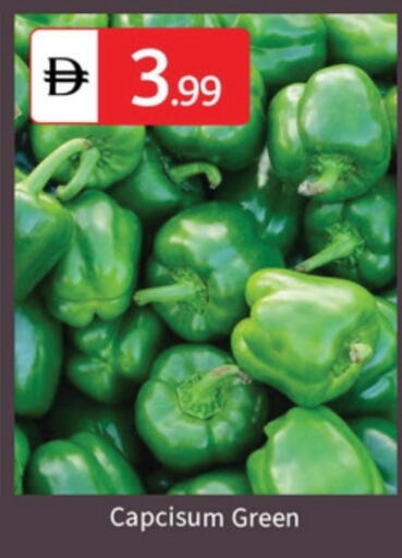available at سوق طلال in الإمارات العربية المتحدة , الامارات - دبي