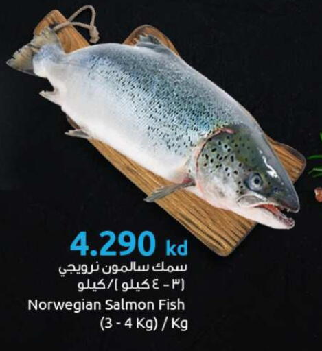available at مركز سلطان in الكويت - محافظة الأحمدي
