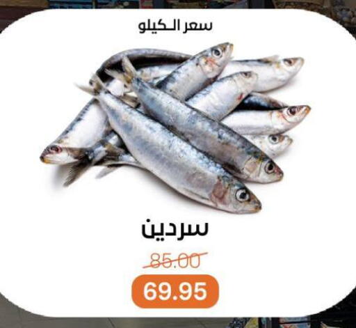 available at بيت الجملة in Egypt - القاهرة