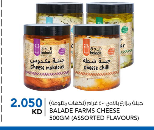 Chilli in الكويت - محافظة الأحمدي