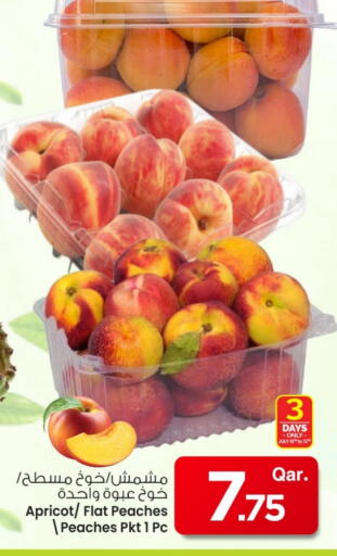 Dried Fruits & Dates in Mark & Save , Qatar Offers - Qatar Apricot available at Mark & Save in Qatar - Al-Shahaniya