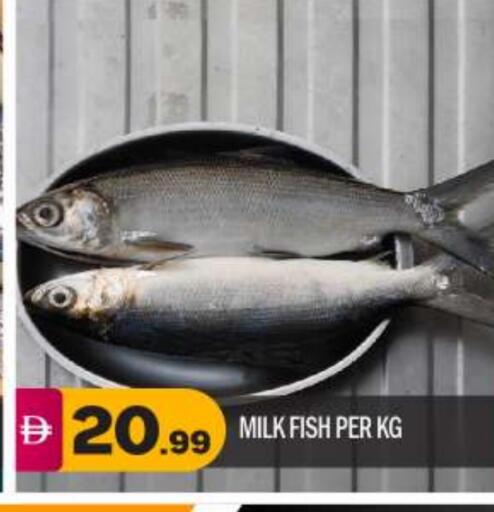 available at BIGmart in UAE - Abu Dhabi