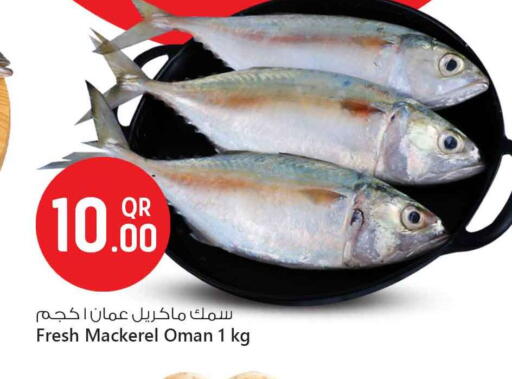 available at Safari Hypermarket in Qatar - Al Daayen