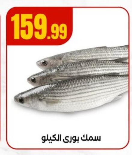 available at مارت فيل in Egypt - القاهرة