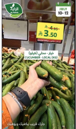 خيار available at الراية in مملكة العربية السعودية, السعودية, سعودية - جدة