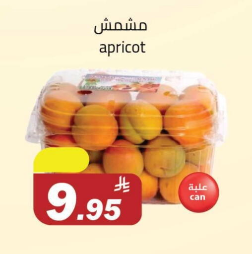Apricot available at Hypermarket Stor in KSA, Saudi Arabia, Saudi - Buraidah