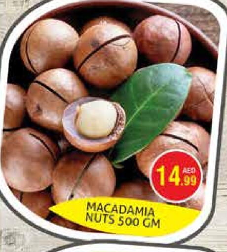 available at هايبرماركت النخيل محيصنة in الإمارات العربية المتحدة , الامارات - دبي