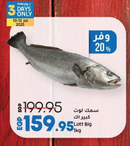 available at لولو هايبرماركت in Egypt - القاهرة