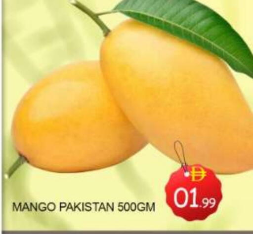 Mangoes from Pakistan available at Mango Hypermarket LLC in UAE - Dubai