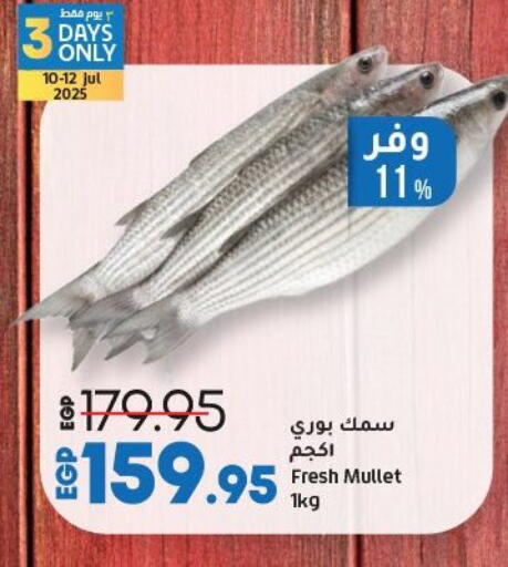 available at لولو هايبرماركت in Egypt - القاهرة