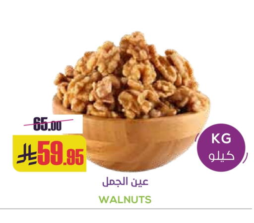 available at Sapt in KSA, Saudi Arabia, Saudi - Buraidah