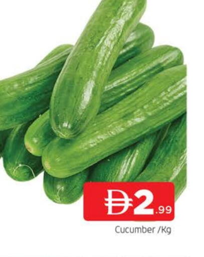 خيار available at المدينة in الإمارات العربية المتحدة , الامارات - الشارقة / عجمان