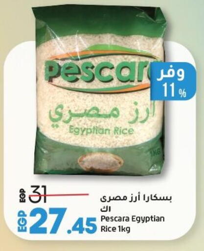 أرز كالروز available at لولو هايبرماركت in Egypt - القاهرة