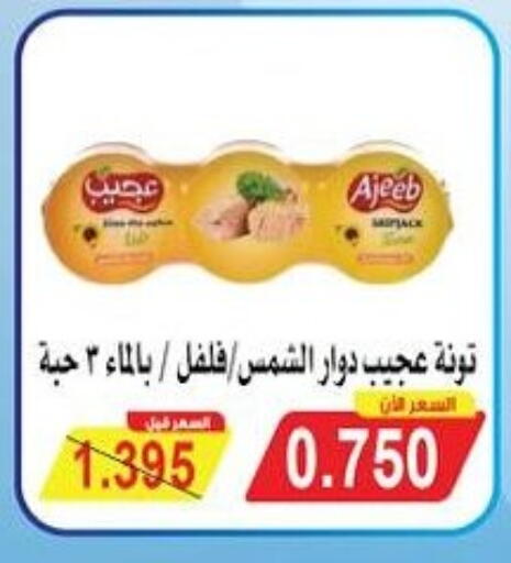 Tuna - Canned available at Salwa Co-Operative Society  in Kuwait - Jahra Governorate