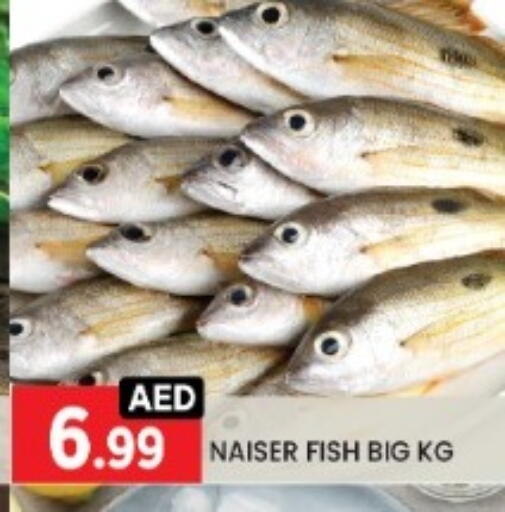 available at LIYAKKAS HYPERMARKET LLC in UAE - Abu Dhabi
