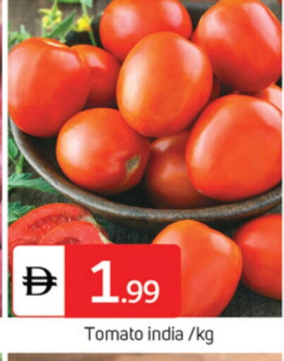 Tomato from India available at TALAL MARKET in UAE - Abu Dhabi