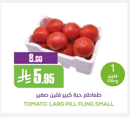 Tomato available at Sapt in KSA, Saudi Arabia, Saudi - Buraidah