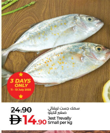 available at Lulu Hypermarket in UAE - Fujairah