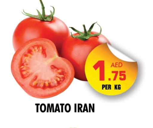 Tomato from Iran available at NIGHT TO NIGHT DEPARTMENT STORE in UAE - Dubai