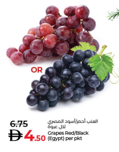 عنب from Egypt available at لولو هايبرماركت in الإمارات العربية المتحدة , الامارات - رَأْس ٱلْخَيْمَة