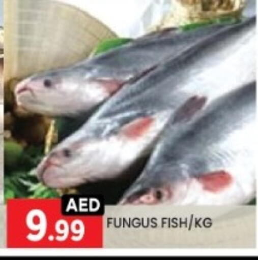 available at LIYAKKAS HYPERMARKET LLC in UAE - Abu Dhabi