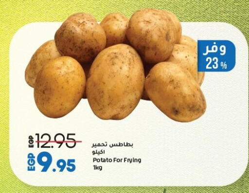 بطاطا available at لولو هايبرماركت in Egypt - القاهرة