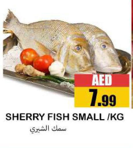 available at سوق المبارك هايبرماركت in الإمارات العربية المتحدة , الامارات - الشارقة / عجمان
