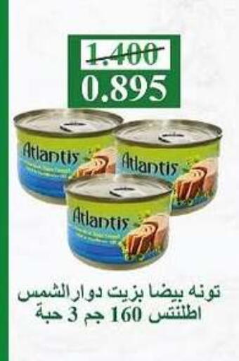 تونة - معلب available at جمعية الصليبخات والدوحة التعاونية in الكويت