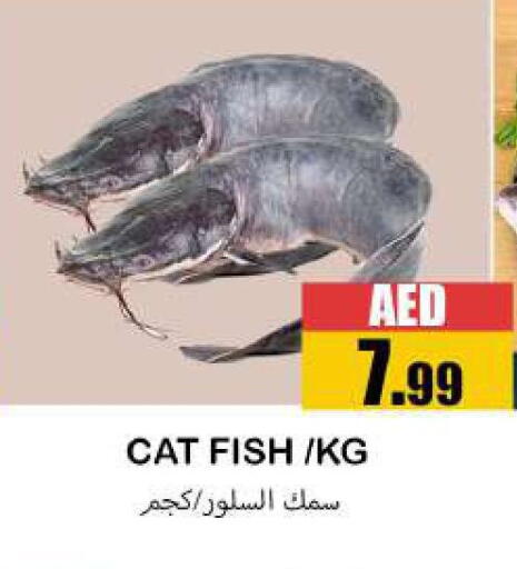 available at سوق المبارك هايبرماركت in الإمارات العربية المتحدة , الامارات - الشارقة / عجمان