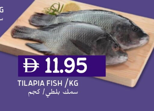 available at سيليكت ماركت in الإمارات العربية المتحدة , الامارات - أبو ظبي