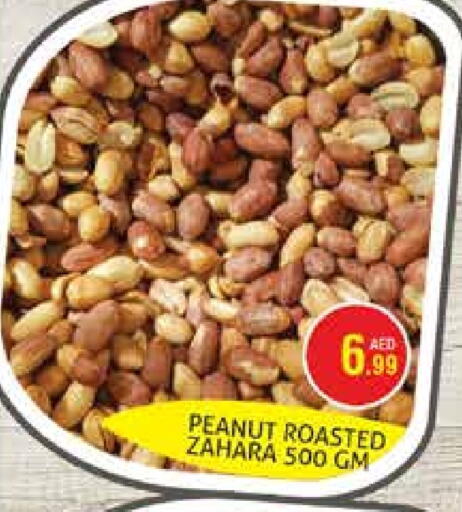 available at هايبرماركت النخيل محيصنة in الإمارات العربية المتحدة , الامارات - دبي