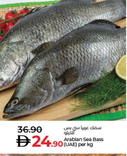 available at Lulu Hypermarket in UAE - Fujairah