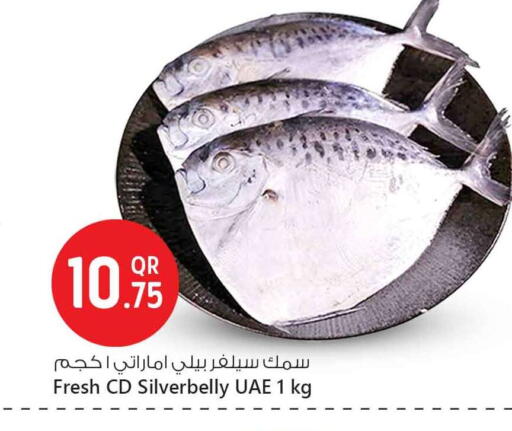 available at سفاري هايبر ماركت in قطر - أم صلال