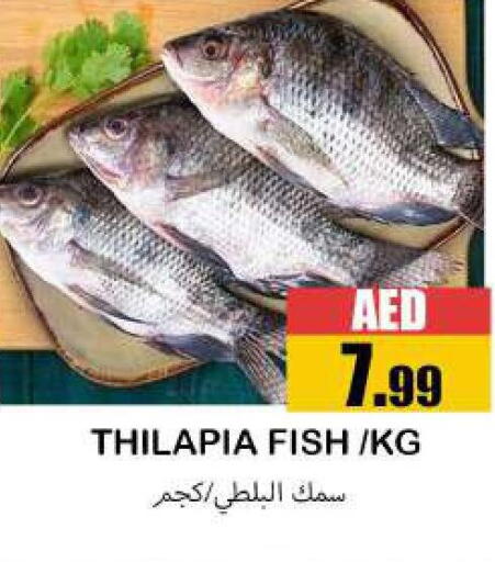 available at سوق المبارك هايبرماركت in الإمارات العربية المتحدة , الامارات - الشارقة / عجمان