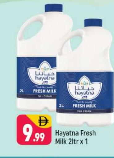 HAYATNA Fresh Milk available at Shaklan  in UAE - Dubai