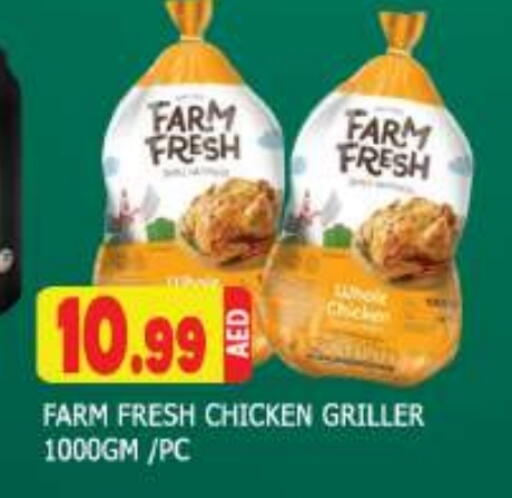 FARM FRESH Fresh Whole Chicken available at AL MADINA (Dubai) in UAE - Dubai
