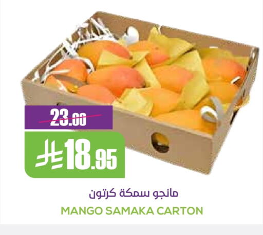 Mangoes available at Sapt in KSA, Saudi Arabia, Saudi - Buraidah
