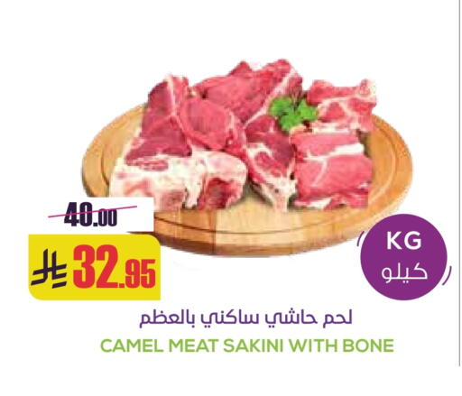 Camel meat available at Sapt in KSA, Saudi Arabia, Saudi - Buraidah