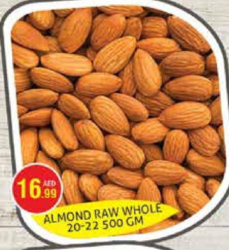 available at هايبرماركت النخيل محيصنة in الإمارات العربية المتحدة , الامارات - دبي