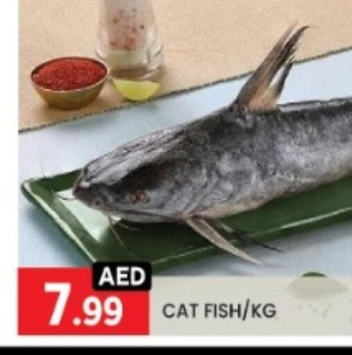 available at LIYAKKAS HYPERMARKET LLC in UAE - Abu Dhabi