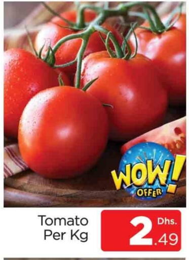 Tomato available at AL MADINA (Dubai) in UAE - Dubai