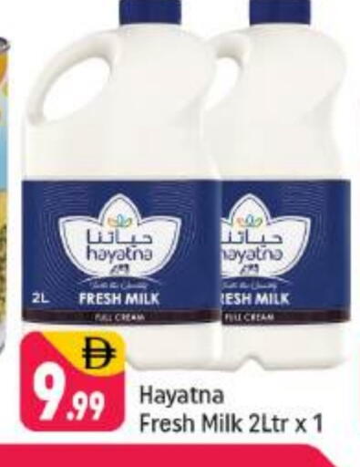 HAYATNA Fresh Milk available at Shaklan  in UAE - Dubai