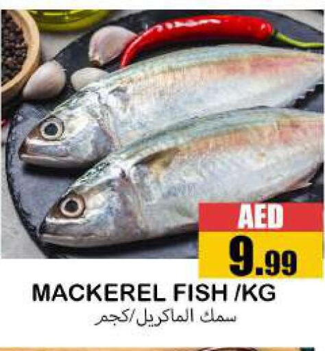 available at سوق المبارك هايبرماركت in الإمارات العربية المتحدة , الامارات - الشارقة / عجمان