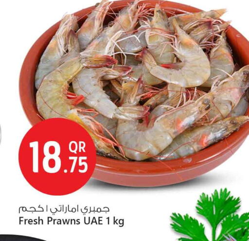 available at سفاري هايبر ماركت in قطر - أم صلال