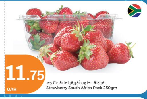 توت from South Africa available at سيتي هايبرماركت in قطر - أم صلال