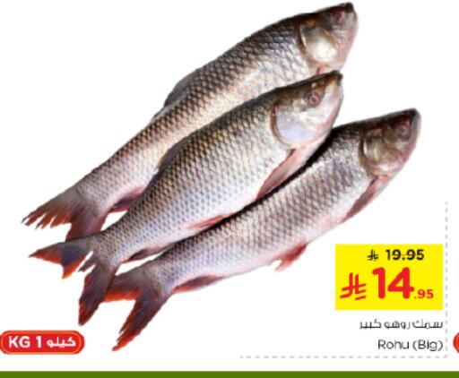 available at نستو in مملكة العربية السعودية, السعودية, سعودية - الخرج